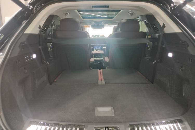 Used Hongqi E-HS9 2022 660 km Range Flagway Edition Six Seats Trunk