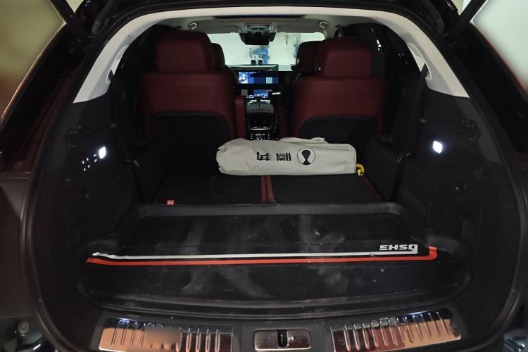 Used Hongqi E-HS9 2022 660 km Range Flagway Edition Six Seats Trunk