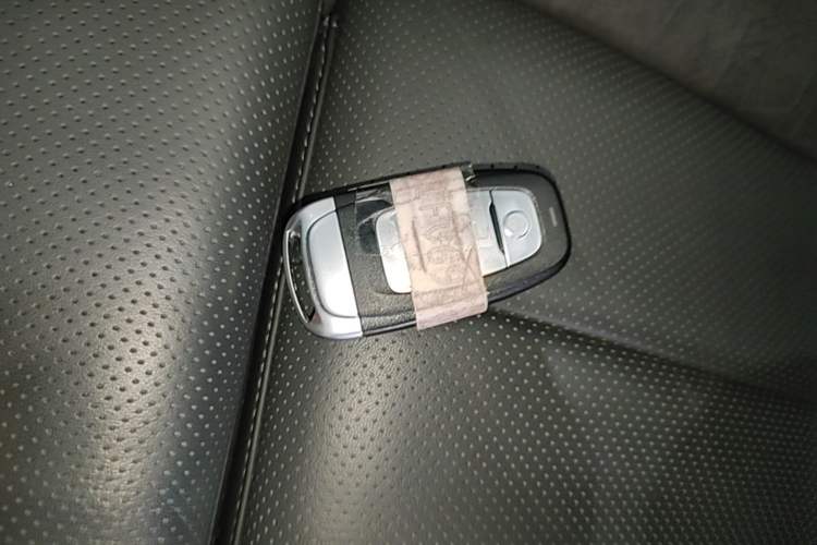 Used Hongqi E-HS9 2022 690 km Range Flagship Edition Six Seats Vehicle Key