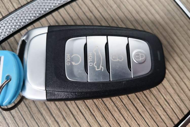 Used Hongqi E-HS9 2022 690 km Range Flagship Edition Six Seats Vehicle Key