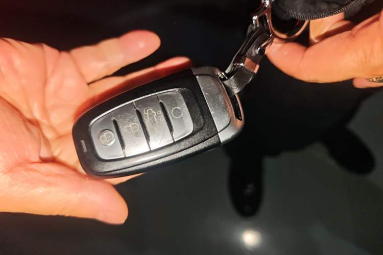 Used Hongqi E-HS9 2022 660 km Range Flagway Edition Six Seats Vehicle Key