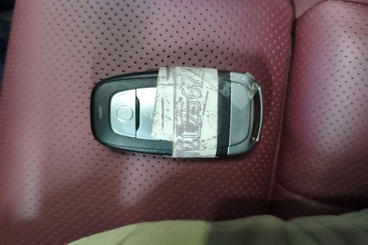 Used Hongqi E-HS9 2022 690 km Range Flagship Edition Six Seats Vehicle Key