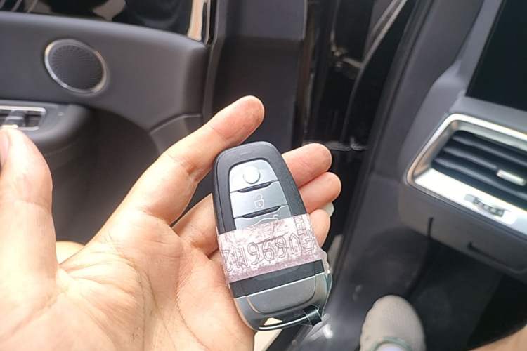 Used Hongqi E-HS9 2022 660 km Range Flagway Edition Six Seats Vehicle Key