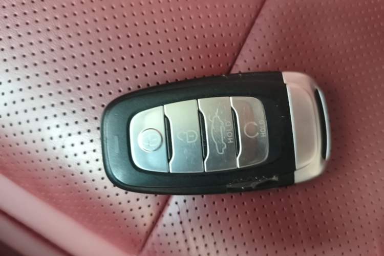 Used Hongqi E-HS9 2022 690 km Range Flagship Edition Six Seats Vehicle Key