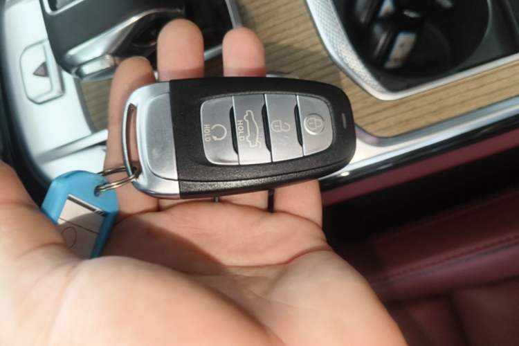 Used Hongqi E-HS9 2022 660 km Range Flagway Edition Six Seats Vehicle Key