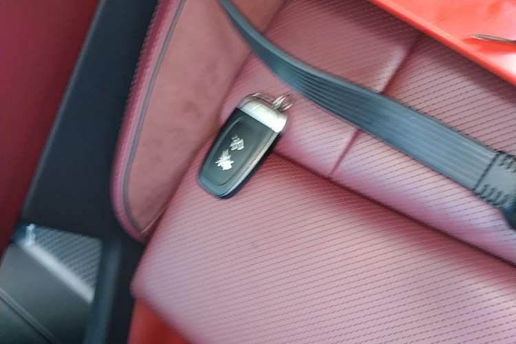 Used Hongqi E-HS9 2022 690 km Range Flagship Edition Six Seats Vehicle Key