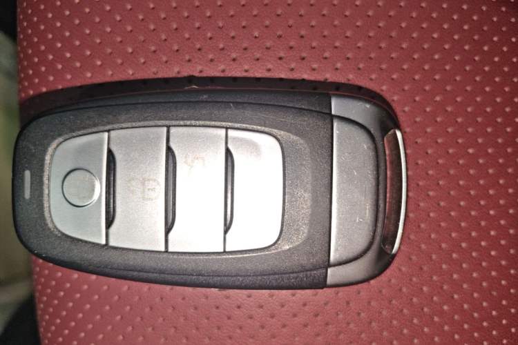 Used Hongqi E-HS9 2022 690 km Range Flagship Edition Six Seats Vehicle Key