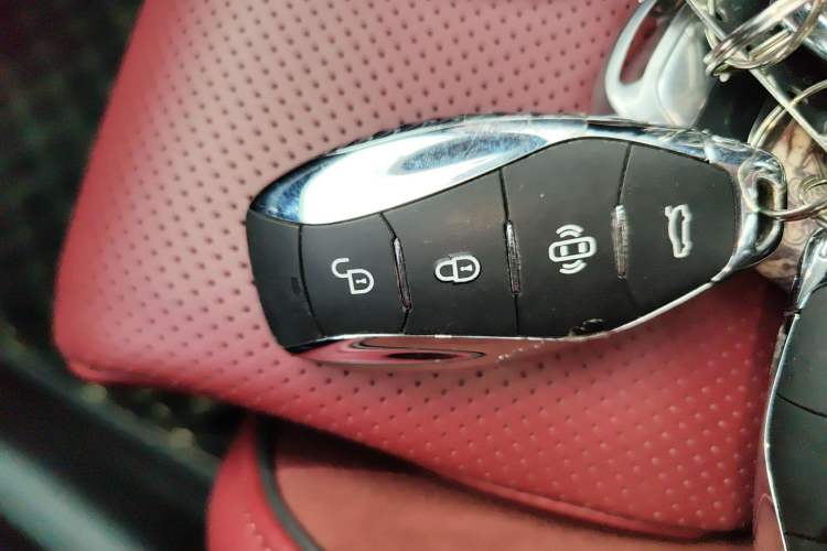 Used Hongqi E-HS9 2022 690 km Range Flagship Edition Six Seats Vehicle Key