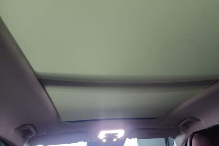 Used Hongqi E-HS9 2022 690 km Range Flagship Edition Six Seats Headliner