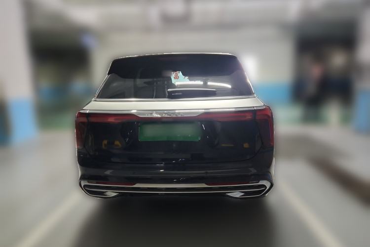 Used Hongqi E-HS9 2022 690 km Range Flagship Edition Six Seats Rear