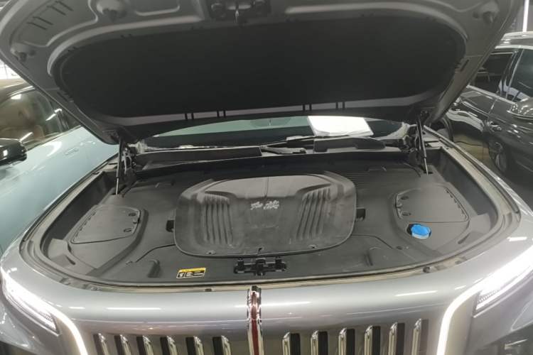 Used Hongqi E-HS9 2022 660 km Range Flagway Edition Six Seats Engine Bay