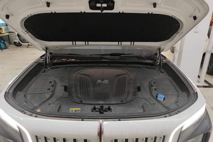 Used Hongqi E-HS9 2022 660 km Range Flagship Edition Four Seats Engine Bay