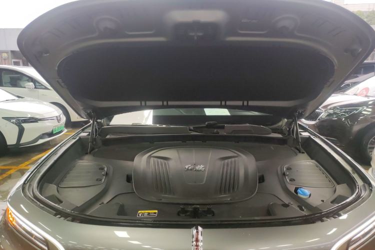 Used Hongqi E-HS9 2022 660 km Range Flagway Edition Six Seats Engine Bay