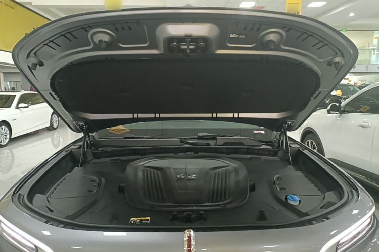 Used Hongqi E-HS9 2022 660 km Range Flagway Edition Six Seats Engine Bay