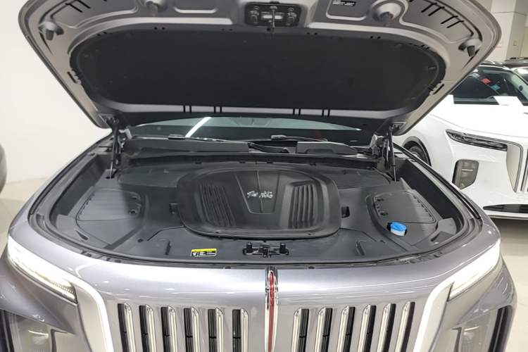 Used Hongqi E-HS9 2022 660 km Range Flagway Edition Six Seats Engine Bay