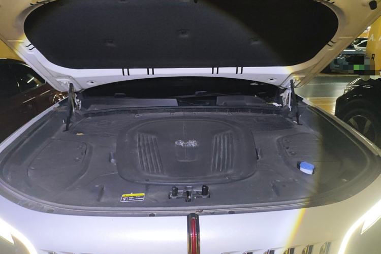 Used Hongqi E-HS9 2022 660 km Range Flagship Edition Four Seats Engine Bay