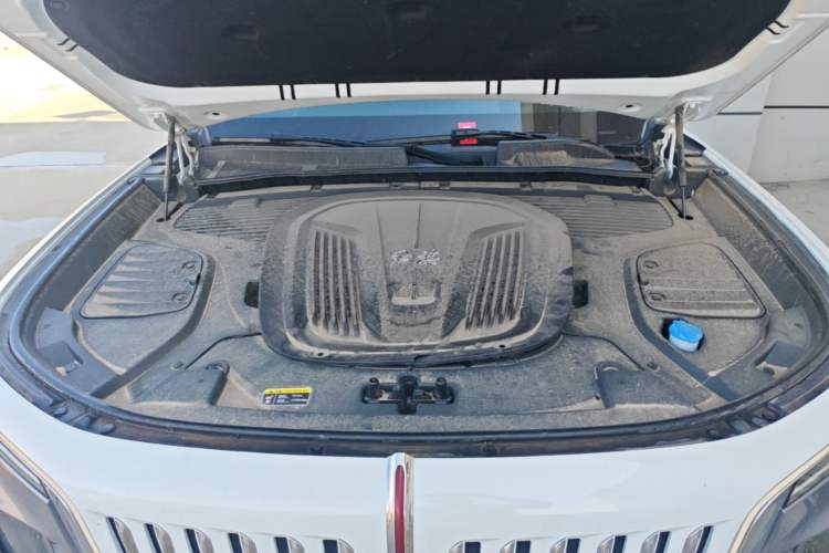 Used Hongqi E-HS9 2022 660 km Range Flagship Edition Four Seats Engine Bay