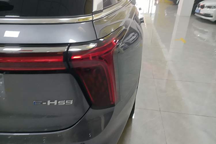 Used Hongqi E-HS9 2022 660 km Range Flagway Edition Six Seats Exterior 3