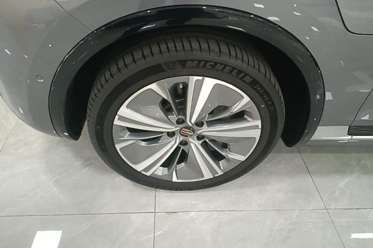 Used Hongqi E-HS9 2022 660 km Range Flagway Edition Six Seats Exterior 4