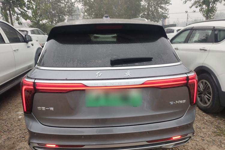 Used Hongqi E-HS9 2022 690 km Range Flagship Edition Six Seats Exterior 4