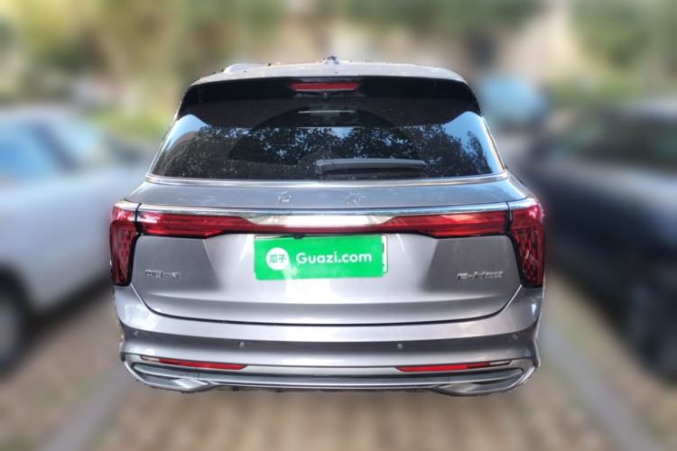 Used Hongqi E-HS9 2022 660 km Range Flagway Edition Six Seats Exterior 4