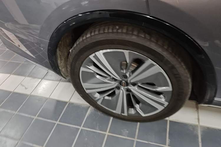 Used Hongqi E-HS9 2022 660 km Range Flagway Edition Six Seats Exterior 5
