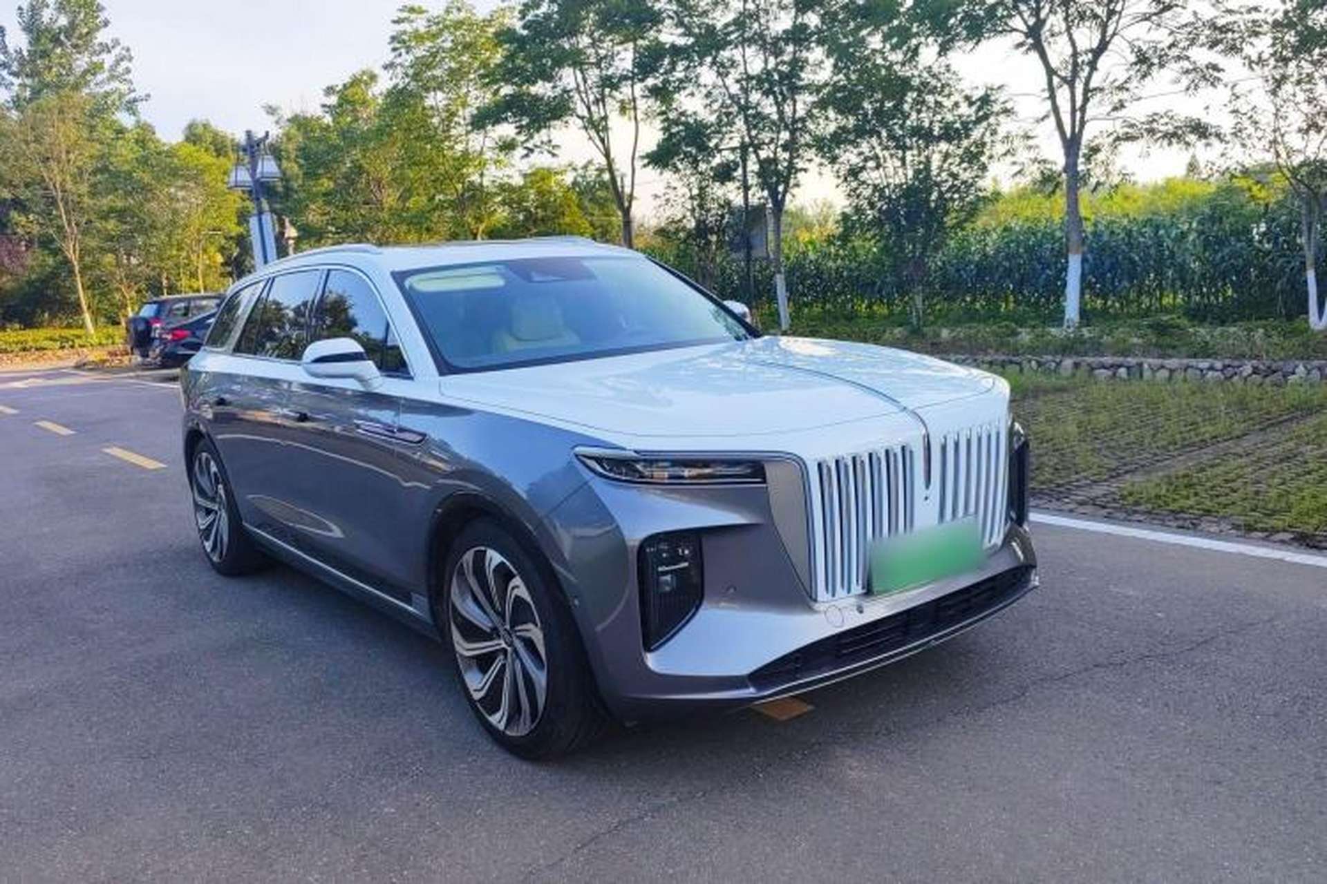 Used Hongqi E-HS9 2022 660 km Range Flagship Edition Four Seats Exterior 5