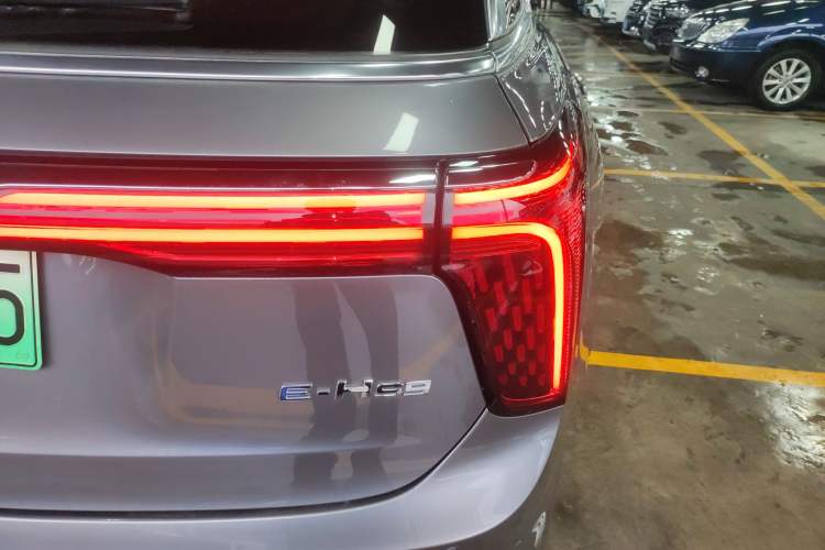 Used Hongqi E-HS9 2022 660 km Range Flagway Edition Six Seats Exterior 6