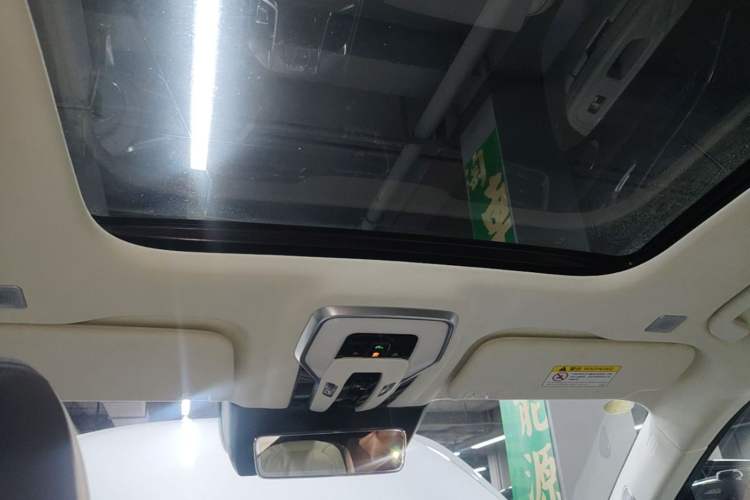 Used Hongqi E-HS9 2022 660 km Range Flagship Edition Four Seats Headliner