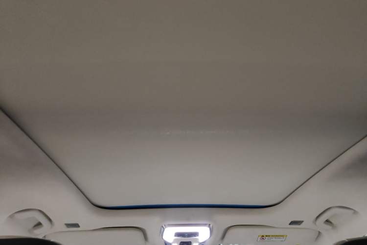 Used Hongqi E-HS9 2022 660 km Range Flagship Edition Four Seats Headliner