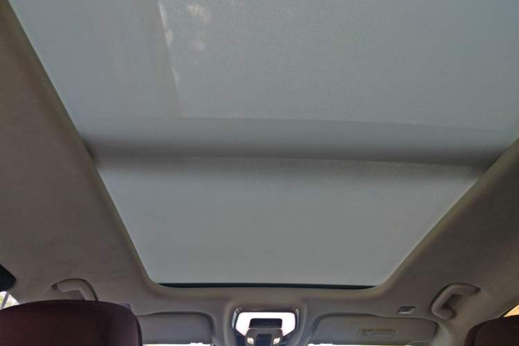 Used Hongqi E-HS9 2022 660 km Range Flagship Edition Four Seats Headliner