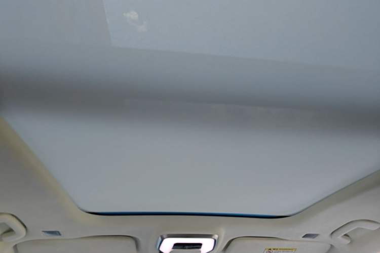 Used Hongqi E-HS9 2022 660 km Range Flagship Edition Four Seats Headliner