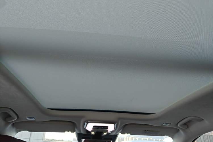 Used Hongqi E-HS9 2022 660 km Range Flagship Edition Four Seats Headliner
