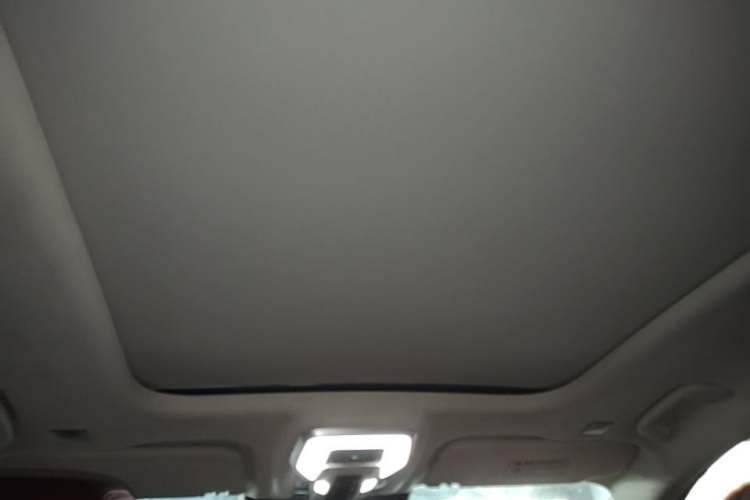 Used Hongqi E-HS9 2022 660 km Range Flagship Edition Four Seats Headliner