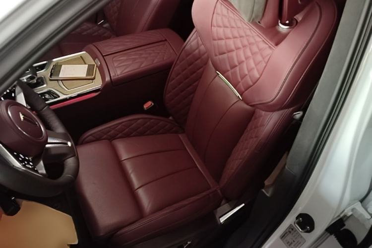 Used Hongqi E-HS9 2022 660 km Range Flagship Edition Four Seats Left Front Seat