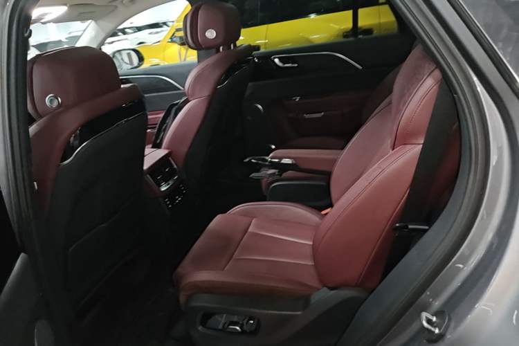 Used Hongqi E-HS9 2022 660 km Range Flagway Edition Six Seats Left Rear Seat