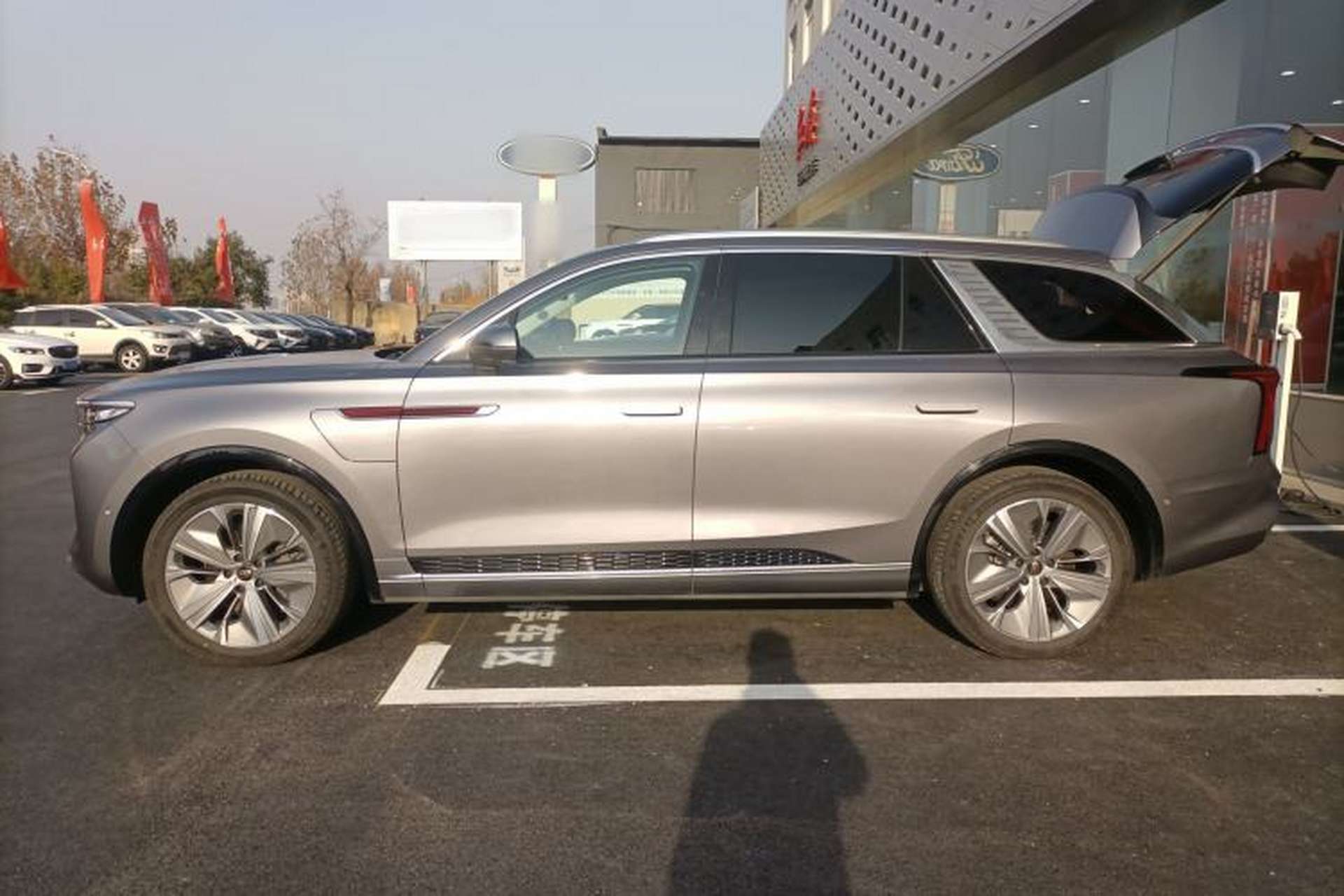 Used Hongqi E-HS9 2022 690 km Range Flagship Edition Six Seats Left Side