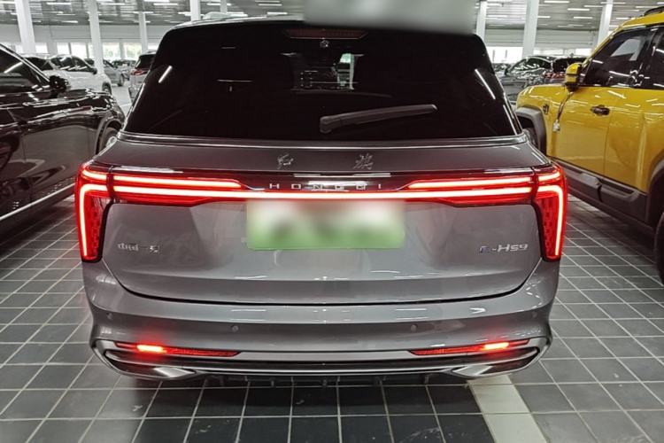 Used Hongqi E-HS9 2022 660 km Range Flagway Edition Six Seats Rear