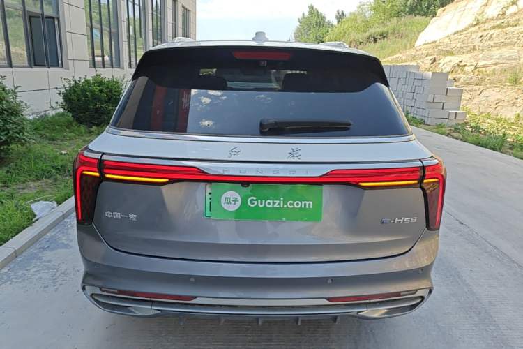 Used Hongqi E-HS9 2022 660 km Range Flagship Edition Four Seats Rear