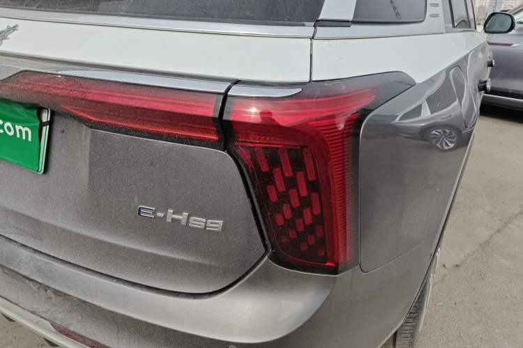 Used Hongqi E-HS9 2022 660 km Range Flagship Edition Four Seats Right Rear Taillight