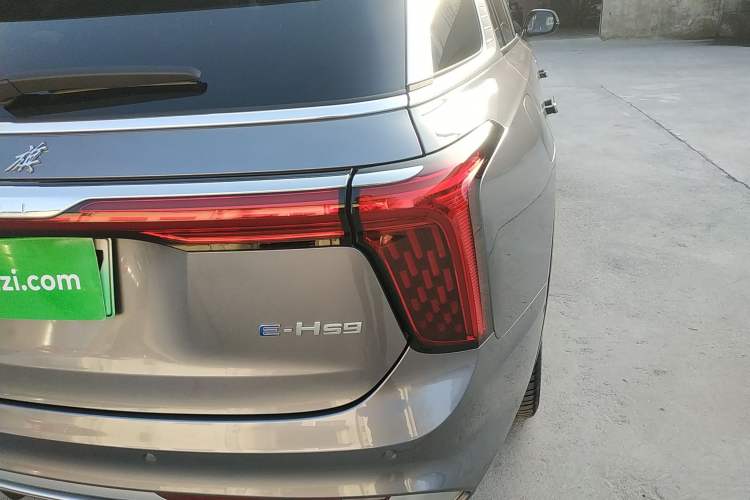 Used Hongqi E-HS9 2022 690 km Range Flagship Edition Six Seats Right Rear Taillight