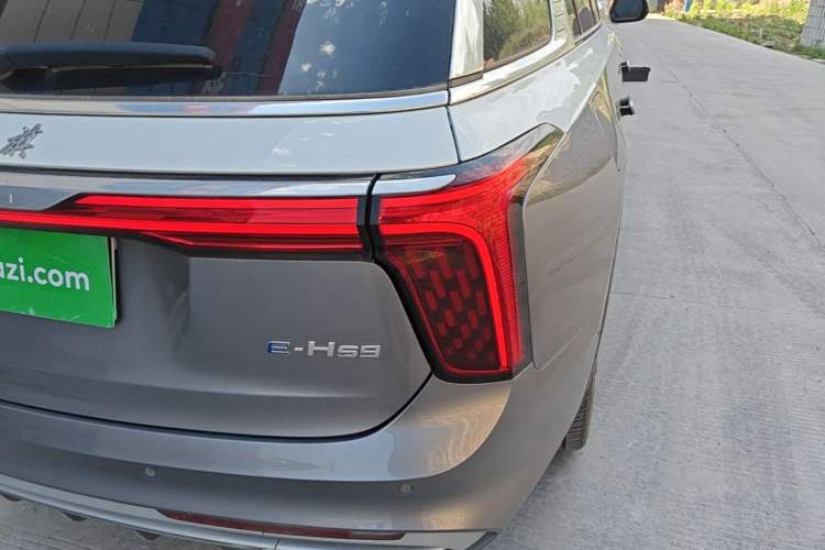 Used Hongqi E-HS9 2022 660 km Range Flagship Edition Four Seats Right Rear Taillight