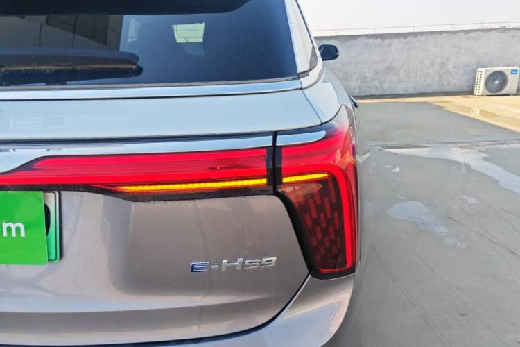 Used Hongqi E-HS9 2022 660 km Range Flagship Edition Four Seats Right Rear Taillight