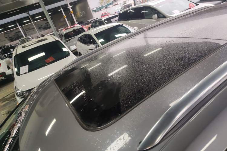 Used Hongqi E-HS9 2022 660 km Range Flagway Edition Six Seats Roof