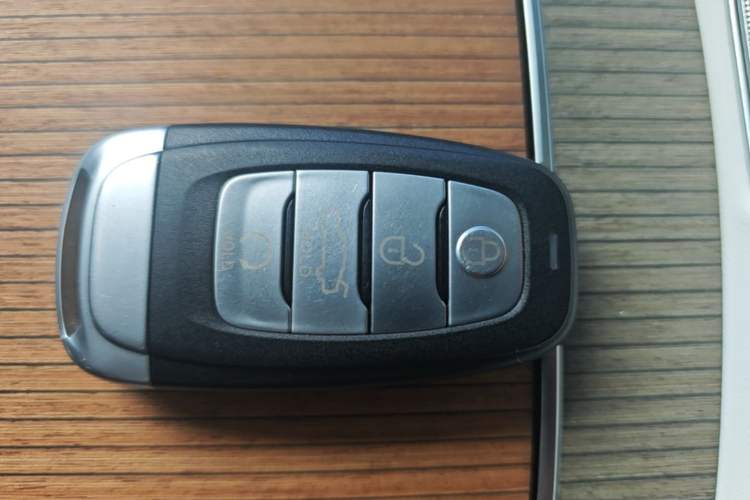 Used Hongqi E-HS9 2022 660 km Range Flagship Edition Four Seats Vehicle Key