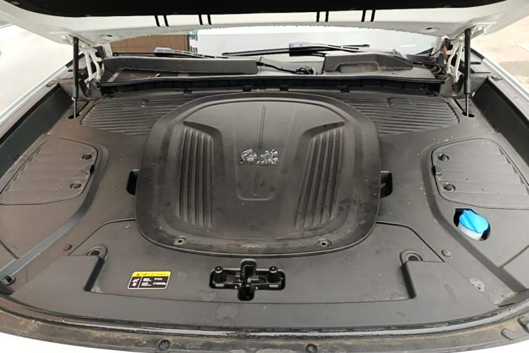 Used Hongqi E-HS9 2022 660 km Range Flagship Edition Four Seats Engine Bay