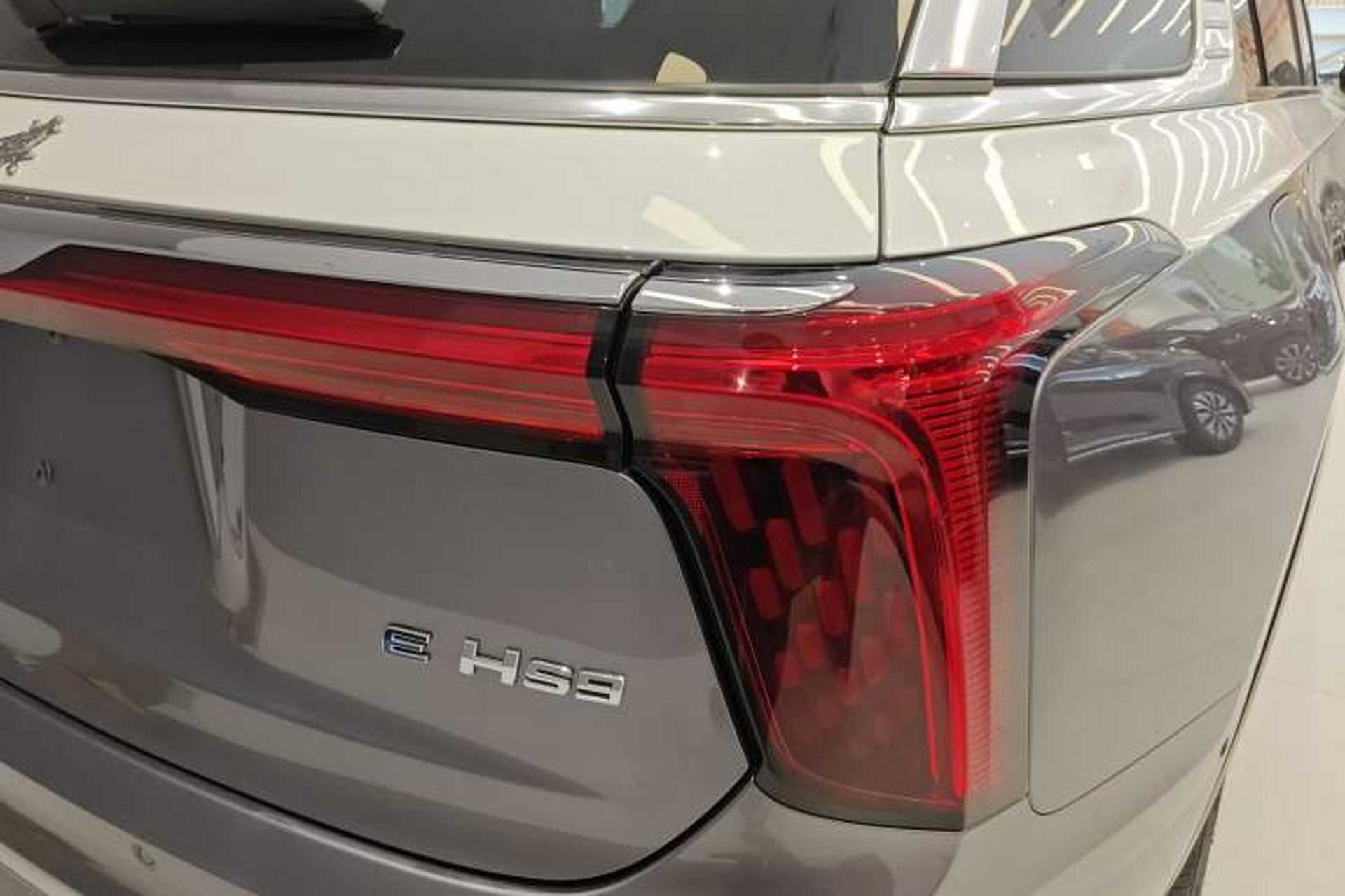 Used Hongqi E-HS9 2022 660 km Range Flagship Edition Four Seats Exterior 6