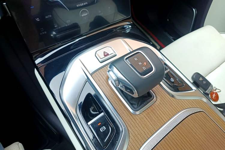 Used Hongqi E-HS9 2022 660 km Range Flagship Edition Four Seats Gear Lever