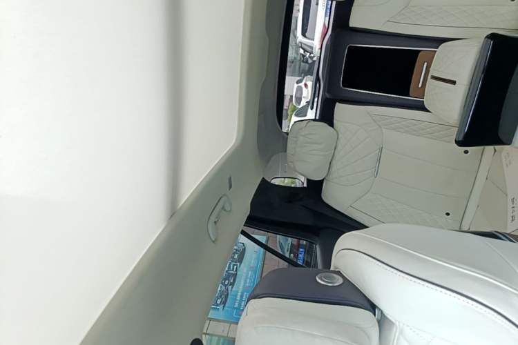 Used Hongqi E-HS9 2022 660 km Range Flagship Edition Four Seats Headliner