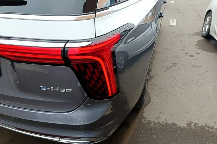 Used Hongqi E-HS9 2022 660 km Range Flagship Edition Four Seats Right Rear Taillight